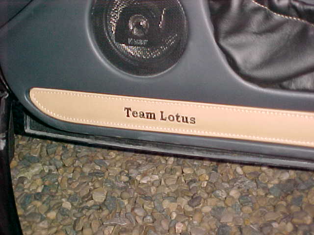 team-lotus door.JPG