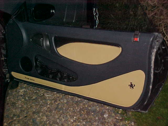 door-panel.JPG