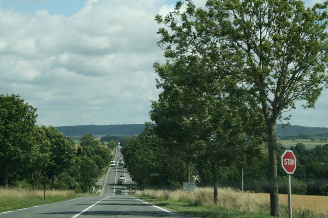 07.1 tree lined road.JPG