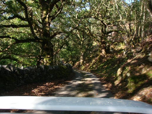 Welsh country lane.JPG