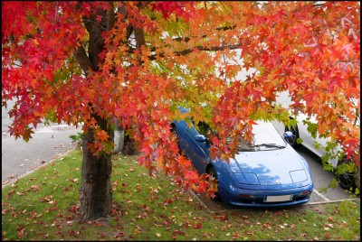 Couleurs-LEC.jpg