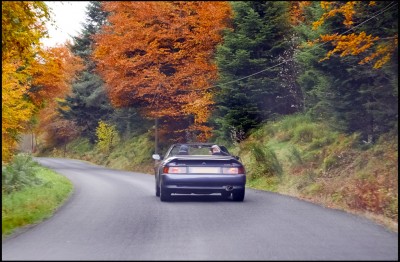 Sortie-M100-Automne-2105-23.jpg