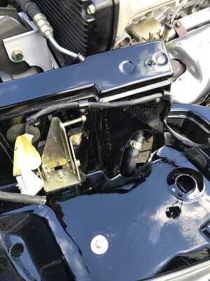 IMG_5713NSwiwring P clips.jpg