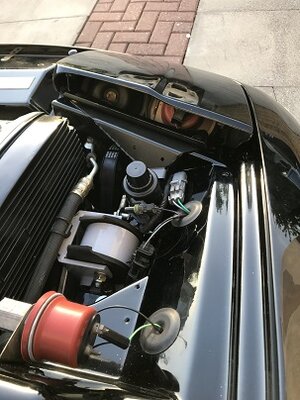 IMG_5885res.jpg