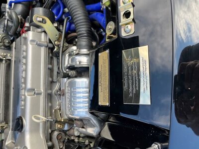 IMG_6312resize.JPG