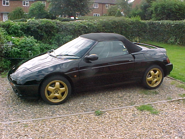 blacky-4.JPG