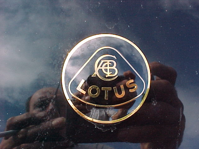 gold badge.JPG