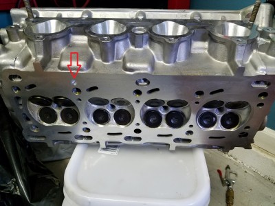 Underside of head.jpg