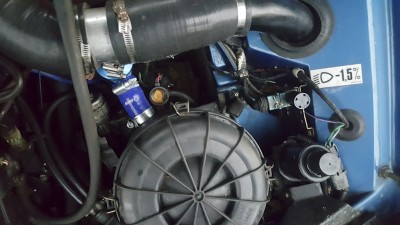 bov.jpg