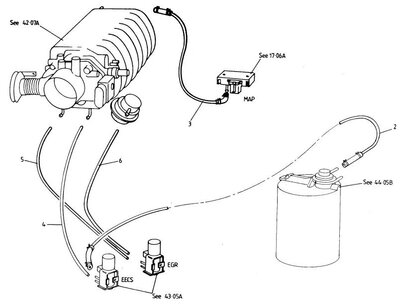 Vacuum lines.jpg