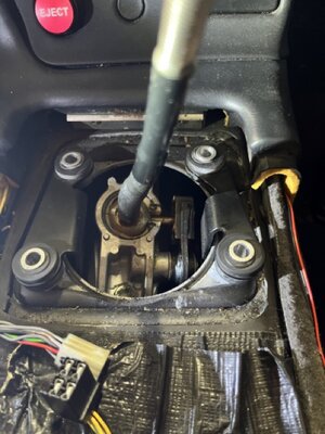 IMG_4549 Medium.jpeg