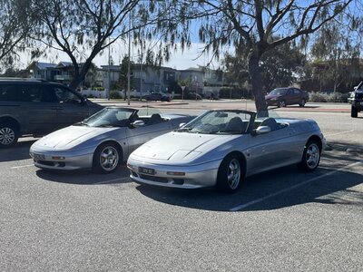 IMG_5295 Medium.jpeg
