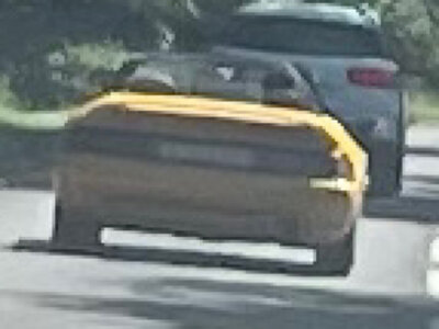 IMG_2023-7-9-133418.jpeg