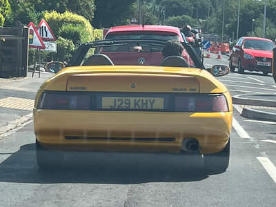 IMG_2023-7-9-133403.jpeg
