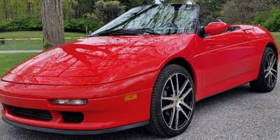 lotus2.jpg