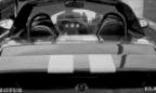 Stripey B&W.jpg