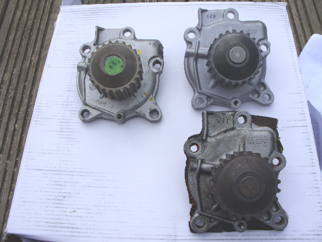 lotus pumps01.jpg