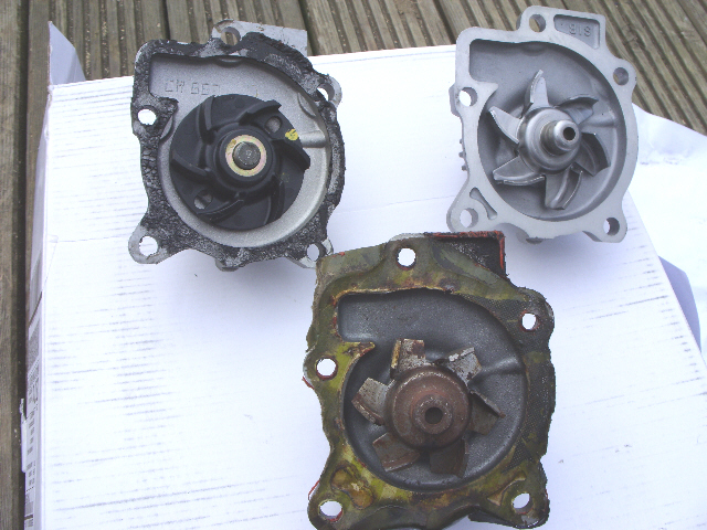 lotus pumps02.jpg